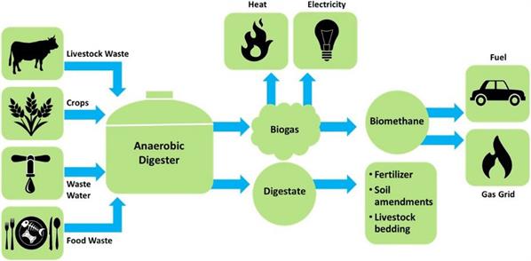 Figure1-Anaerobic-Digestion-Process.jpg