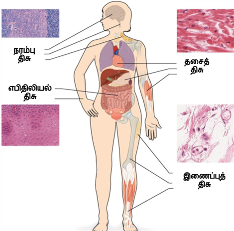 Design - YC IND (4).png