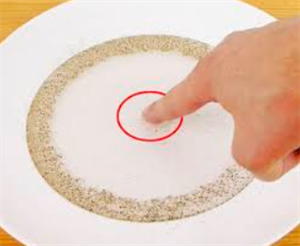 Screenshot 2021-08-05 162123.png