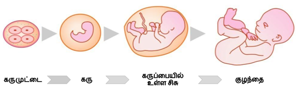 Design - YC IND (28).png