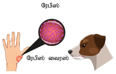 YCIND12052022_3800_Health and hygiene (TM) - 7th Part 2.png