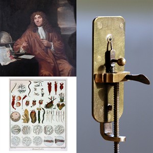 MixCollage-13-Apr-2026-11-42-PM-5057.jpg