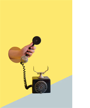 Bepin's call to Dinesh.png