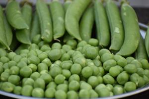 green-peas-5352094_960_720.jpg