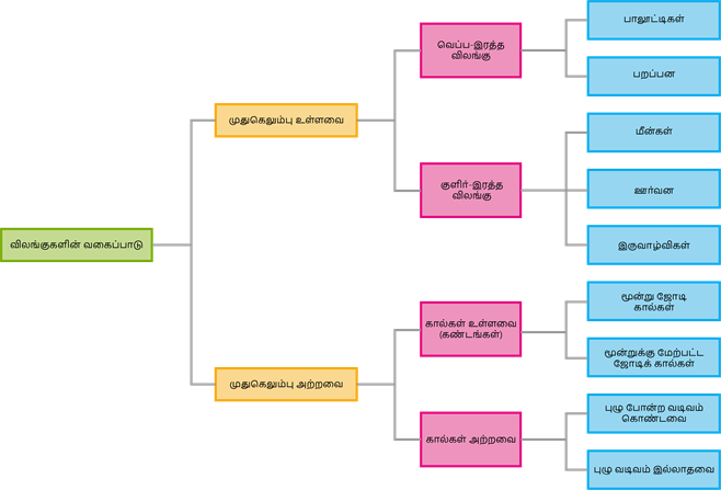 YCIND20220725_4041_Basis of classification_05.png