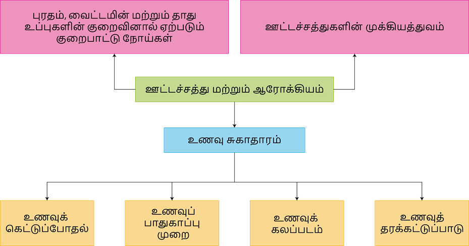 YCIND20220921_4485_Nutrition and health.png