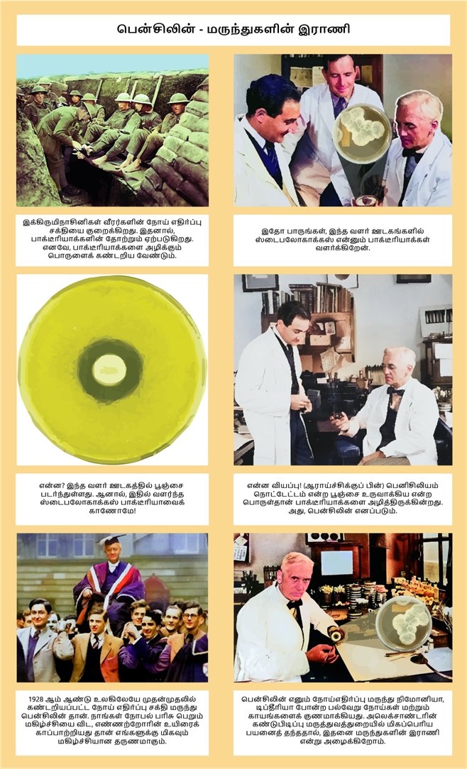 YCIND20220622_3906_Alexander Fleming - Penicilin P2.png