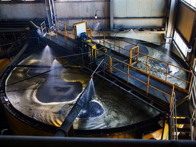 Alexey Rezvykh Shutterstock.jpg