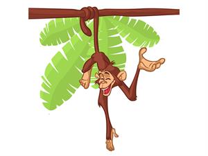 The mischievous Toto.jpg