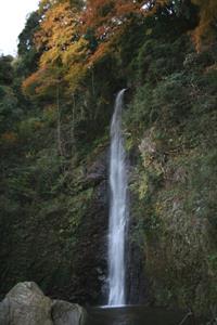 800px-Yoro_Falls_2008-11-26.jpg