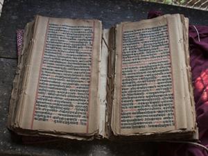 bodom Shutterstock.jpg