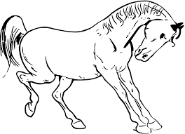 horse1.png