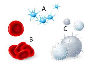 Screenshot 2021-04-23 142717.jpg