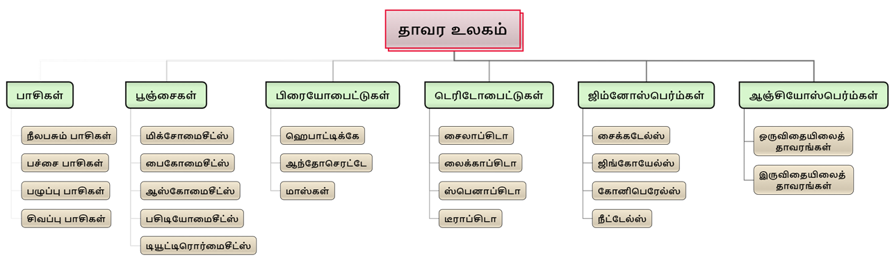 தாவர உலகம் 2.png