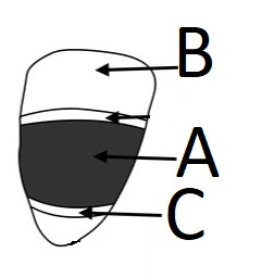 Screenshot 2021-06-05 091916.jpg