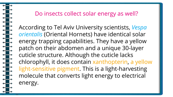 Copy YC Editorial - Drawings for the exercises (1).png