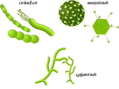 YCIND220520_3800_Health and hygiene (TM) - 7th Part 1.png