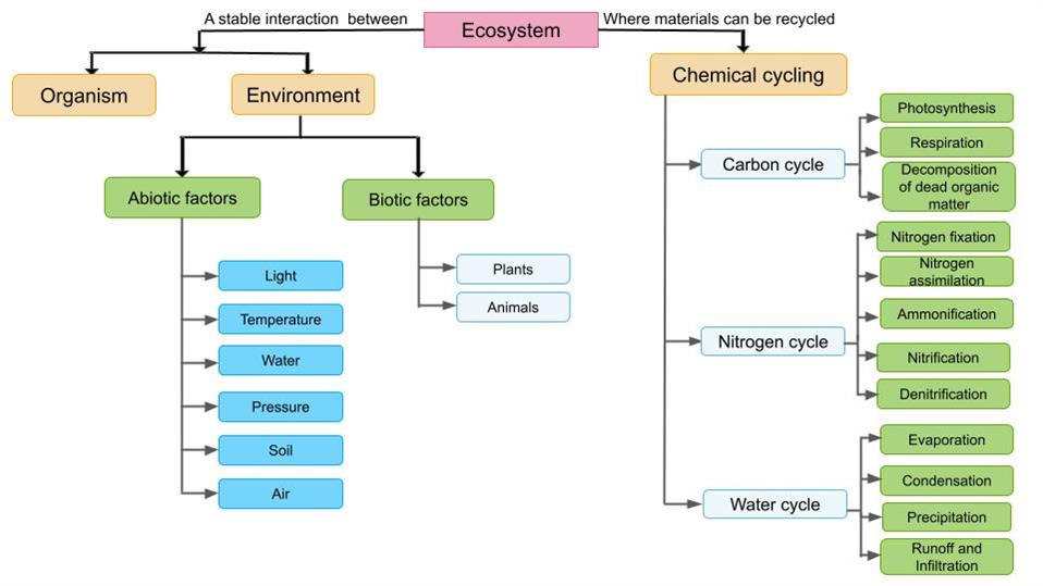 Untitled presentation (3).jpg