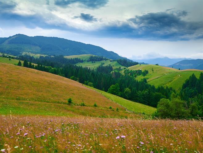 shutterstock_1687278979.jpg