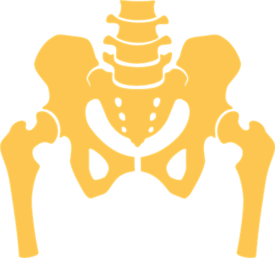 YCIND_220810_4263_pelvic bone (1).png