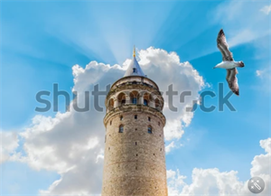 Screenshot 2022-10-30 212425.png