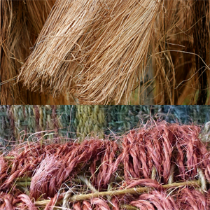 BeFunky-collage (12).png