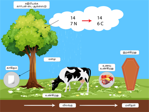 YCIND20220728_4116_Atomic Structure_211.png