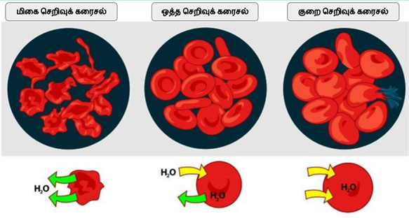 Design - YC IND (21).png