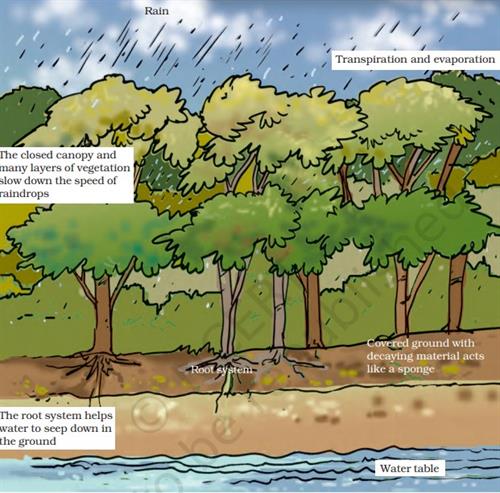 Screenshot 2020-10-13 122943.jpg