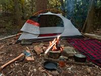 shutterstock_1402731005.jpg