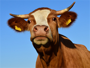 Screenshot 2021-02-23 125206.png