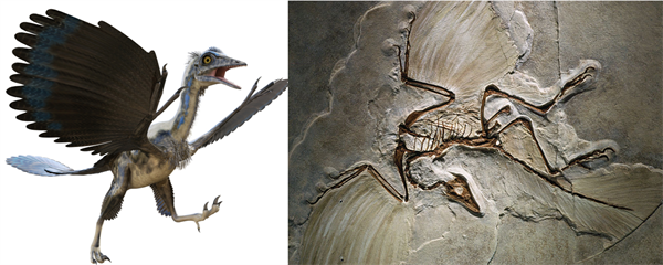 BeFunky-collage (14).png