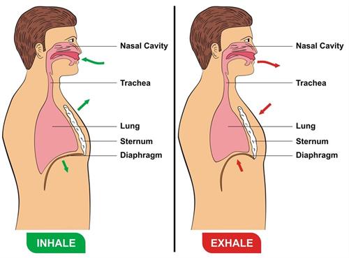 shutterstock108606032w997 (1).jpg