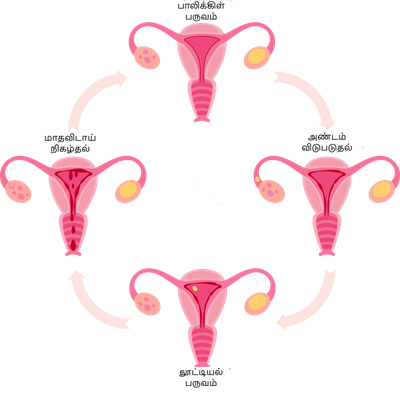 YCIND20220821_4315_Reaching the age of adolescence_03.png