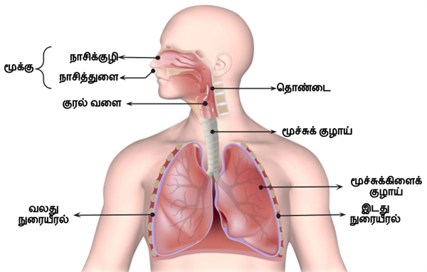 Design - YC IND (11).png