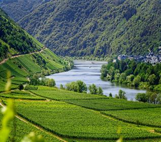 mosel-4336787_1920.jpg
