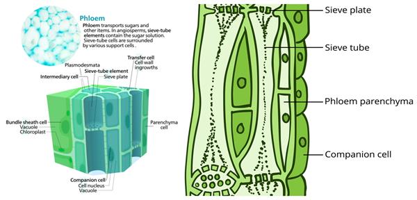 BeFunky-collage (34).jpg