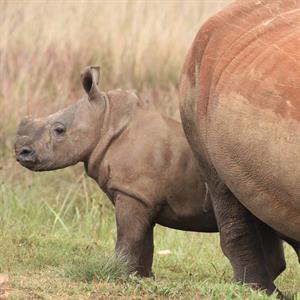 35735682534_86503efe29_o (1).jpg