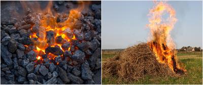 BeFunky-collage (13).jpg