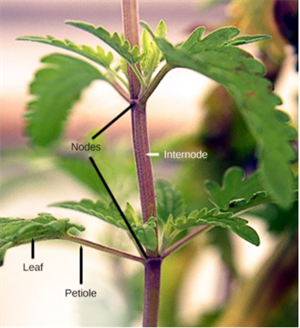 Screenshot 2021-04-17 115503.png