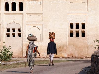 balajisrinivasan Shutterstock.jpg