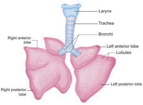 Screenshot 2021-08-06 094057.jpg