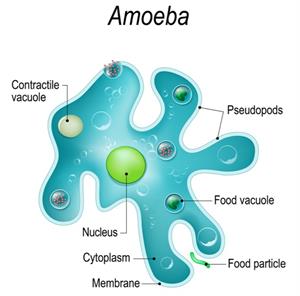 shutterstock_1260845545 (1).jpg