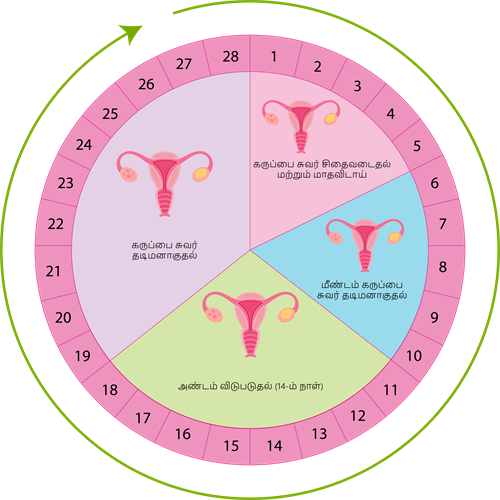 YCIND20220821_4315_Reaching the age of adolescence_01.png