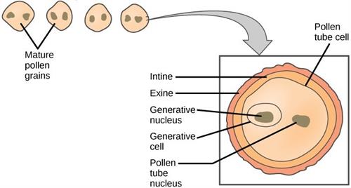 Figure320106f1 (1).jpg