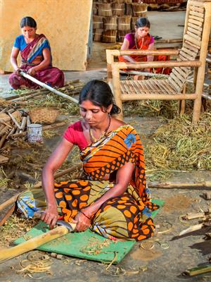 Hari Mahidhar Shutterstock.jpg