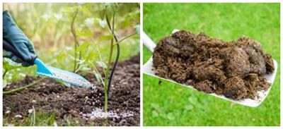 BeFunky-collage (15).jpg