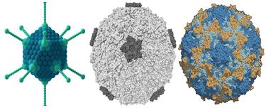 BeFunky-collage (17).jpg