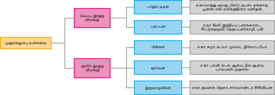 YCIND20220725_4041_Basis of classification_07.png