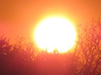 sun.jpg
